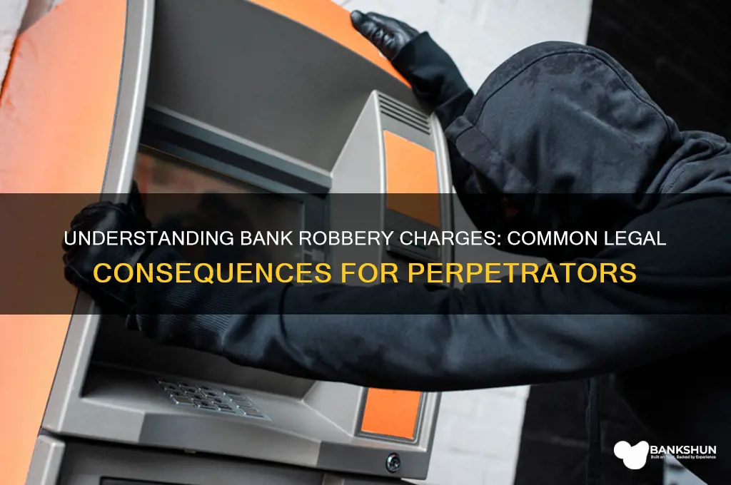 what are bank robbers usually charged with