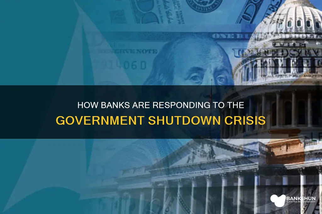 what are banks doing for government shutdown