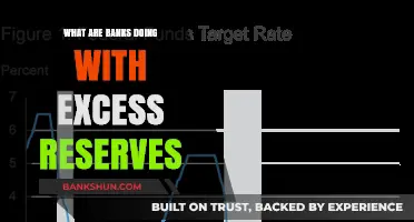 Excess Reserves: How Banks Are Utilizing Surplus Capital Today