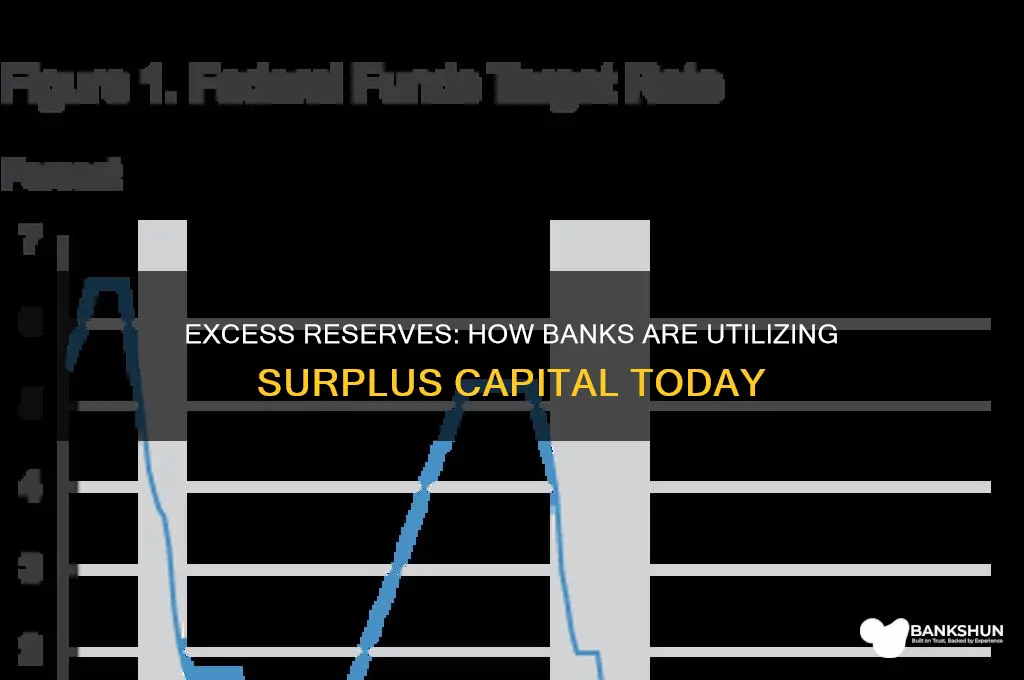 what are banks doing with excess reserves