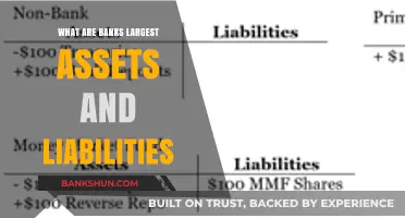 Understanding Banks' Core Assets and Liabilities: A Comprehensive Overview