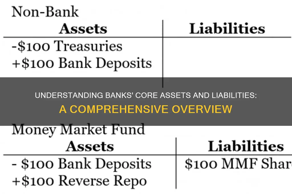 what are banks largest assets and liabilities