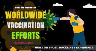 Global Vaccination Challenges: Overcoming Barriers to Worldwide Immunization Efforts