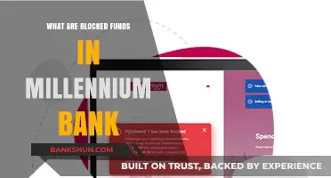 Understanding Blocked Funds in Millennium Bank: Causes and Solutions
