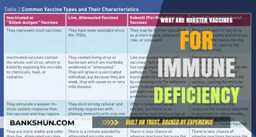 Understanding Booster Vaccines for Immune Deficiency: Essential Protection Explained