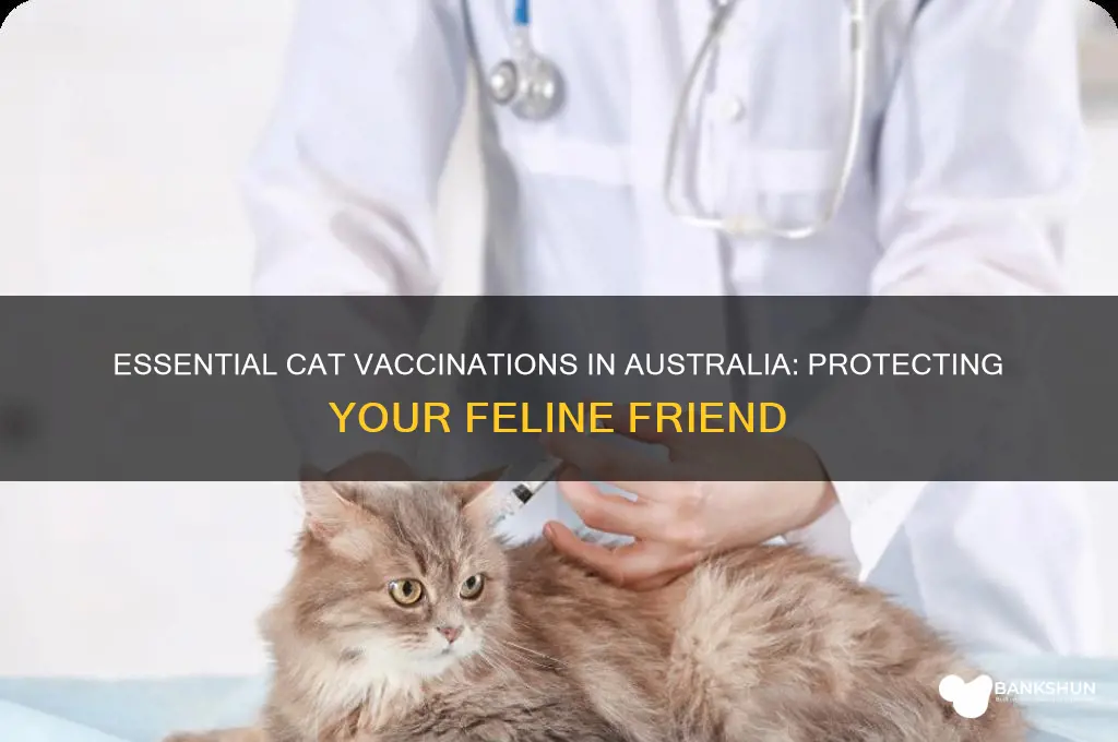 what are cats vaccinated against in australia