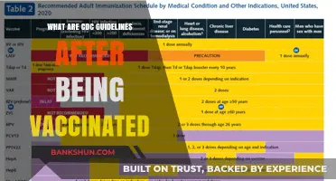 Post-Vaccination CDC Guidelines: What You Need to Know Now