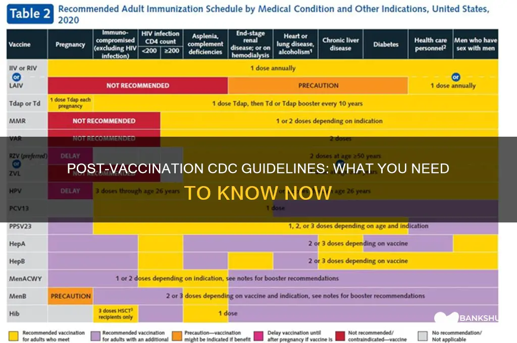 what are cdc guidelines after being vaccinated