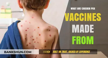 Understanding Chickenpox Vaccines: Ingredients, Composition, and Development Process