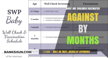 Essential Vaccines for Babies: Monthly Immunization Schedule Explained