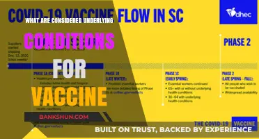 Understanding Underlying Conditions: Vaccine Considerations for High-Risk Individuals