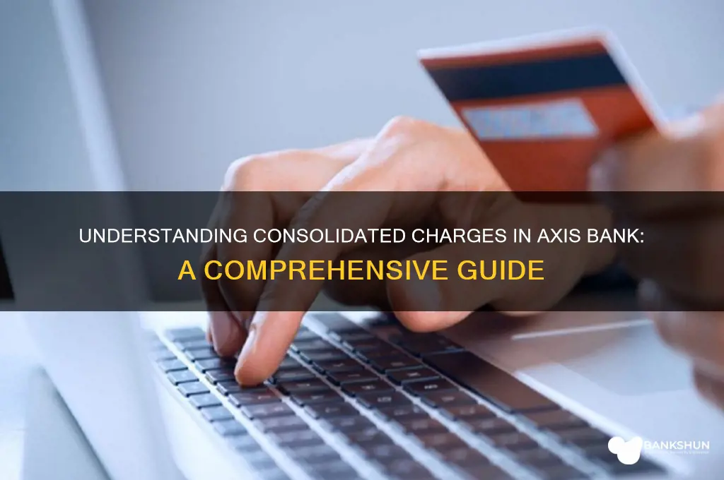 what are consolidated charges in axis bank