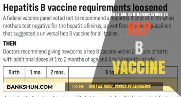 Contraindications to Hepatitis B Vaccine: Who Should Avoid It?
