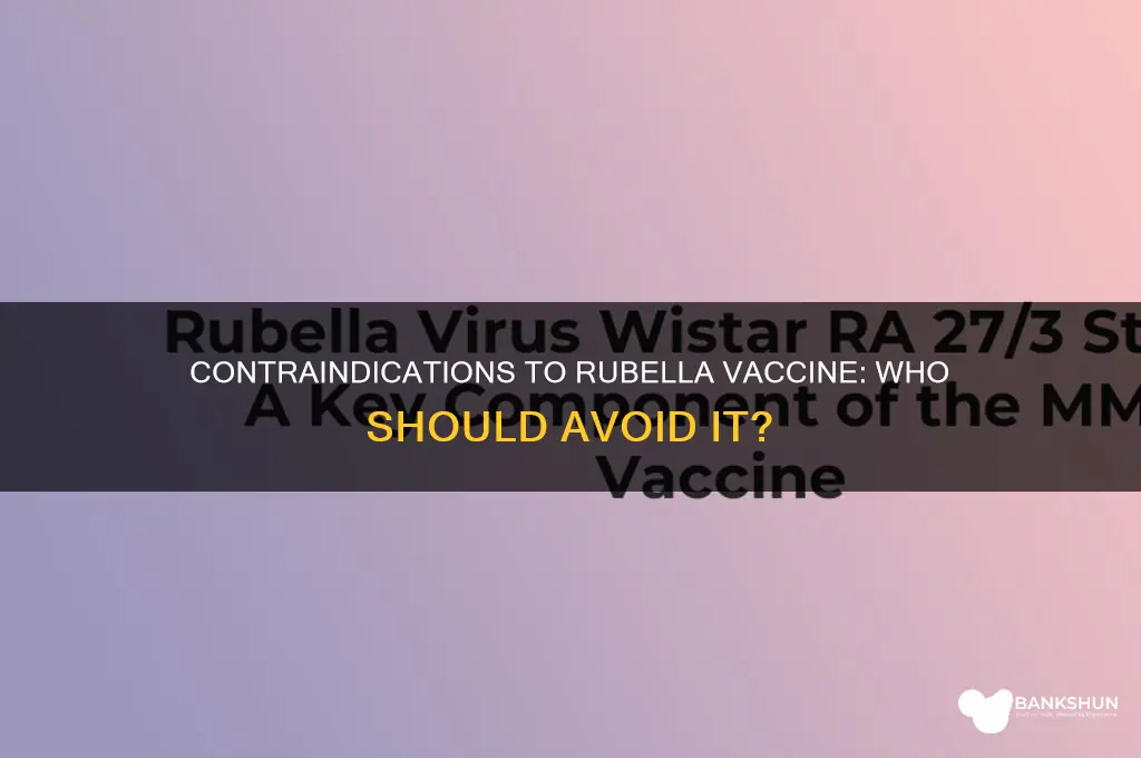 what are contraindications to the rubella vaccine