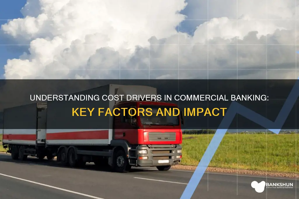 what are cost drivers in commercial banking