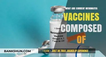 Understanding Meningitis Vaccines: Composition and Current Formulations Explained