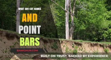 Understanding Cut Banks and Point Bars in River Geomorphology