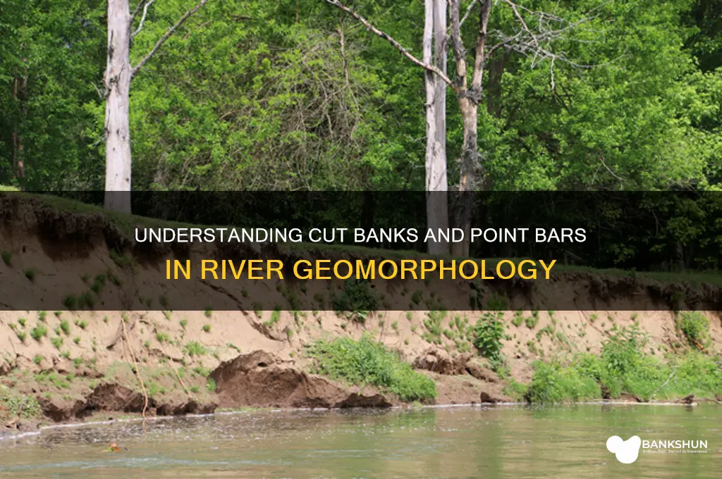 what are cut banks and point bars