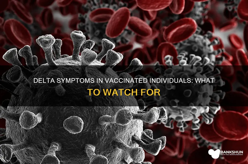 what are delta symptoms for vaccinated person