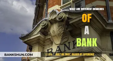 Exploring the Diverse Branches of a Bank and Their Functions