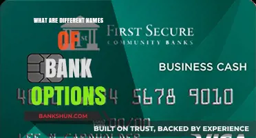 Exploring Various Bank Options: Alternative Names and Their Meanings