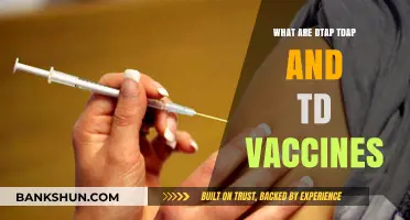 Understanding DTaP, Tdap, and TD Vaccines: Essential Immunizations Explained