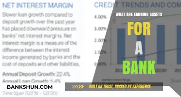 Understanding Bank Earning Assets: Key Revenue Drivers Explained