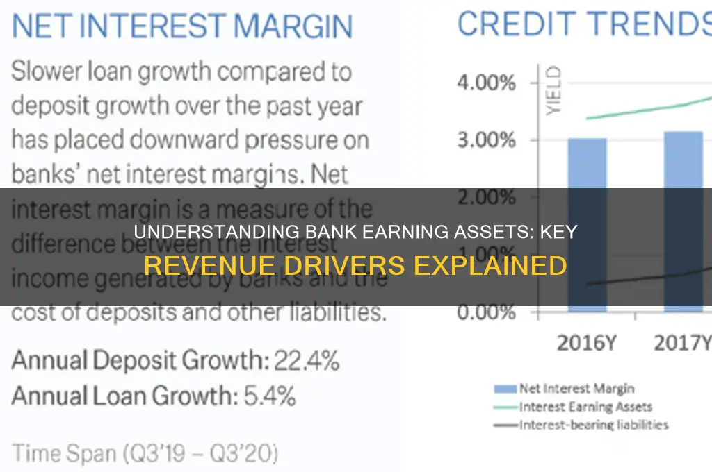 what are earning assets for a bank