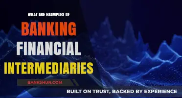 Exploring Key Banking Financial Intermediaries and Their Roles