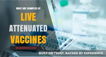 Live Attenuated Vaccines: Key Examples and Their Impact on Immunity