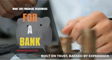 Understanding a Bank's Financial Resources: Key Assets and Funding Sources