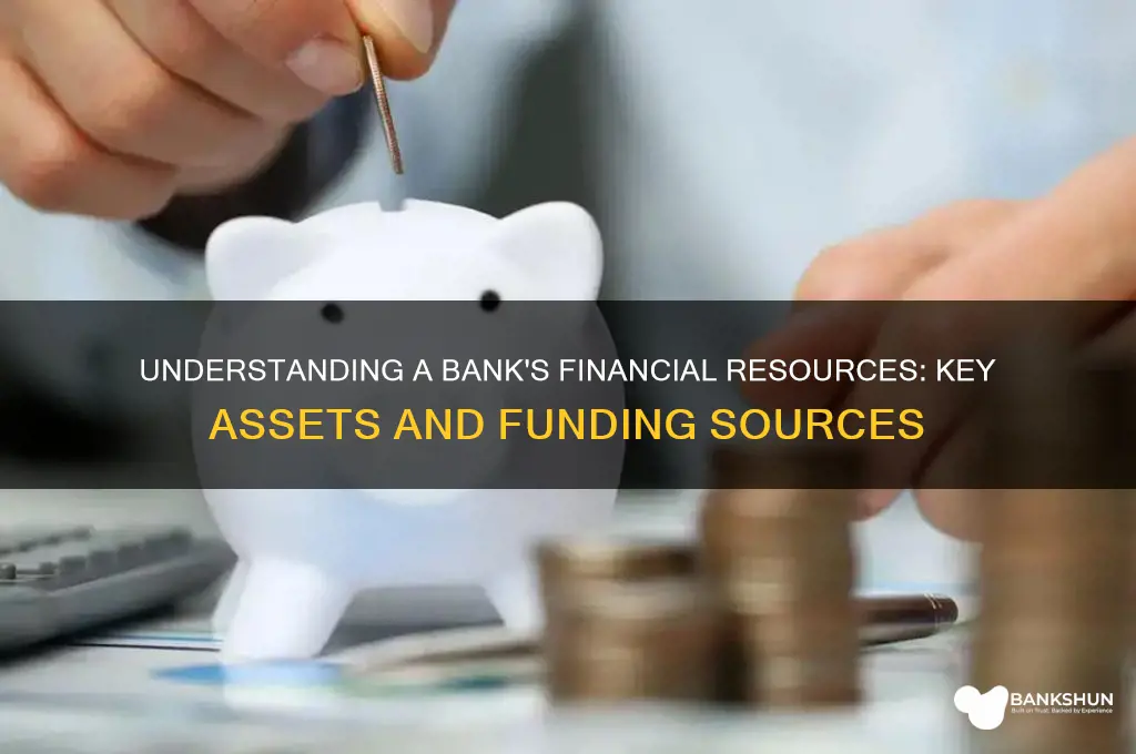 what are financial resources for a bank