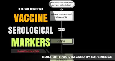 Understanding Hepatitis B Vaccine Serological Markers: Key Indicators Explained