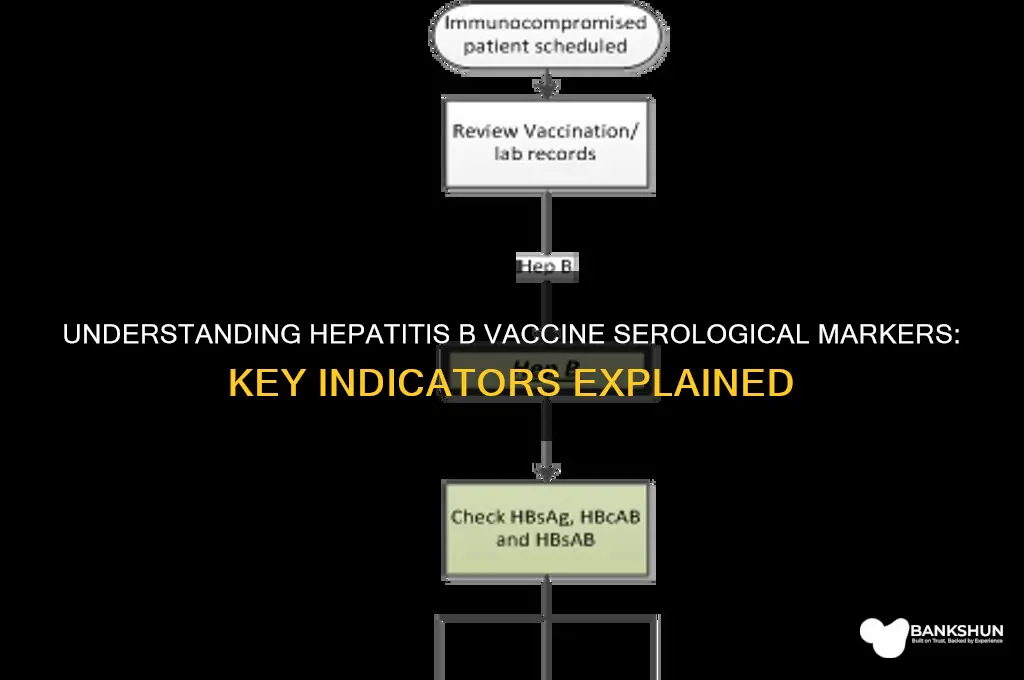 what are hepatitis b vaccine serological markers