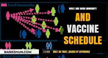 Understanding Herd Immunity and Vaccine Schedules: A Comprehensive Guide