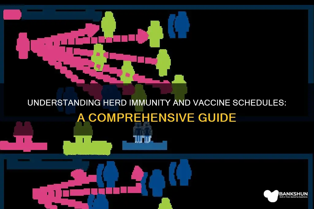 what are herd immunity and vaccine schedule