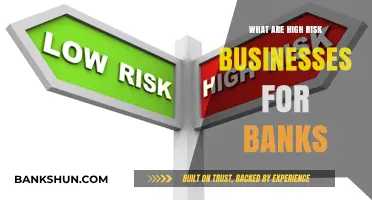 High-Risk Businesses: Identifying Industries Banks Approach with Caution