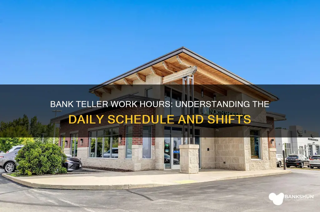 what are hours of a bank teller