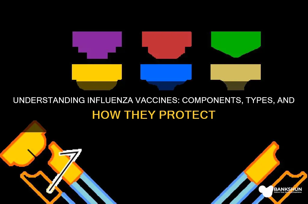 what are influenza vaccines made up of