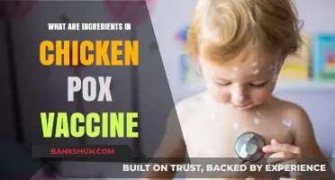 Understanding the Key Ingredients in the Chickenpox Vaccine