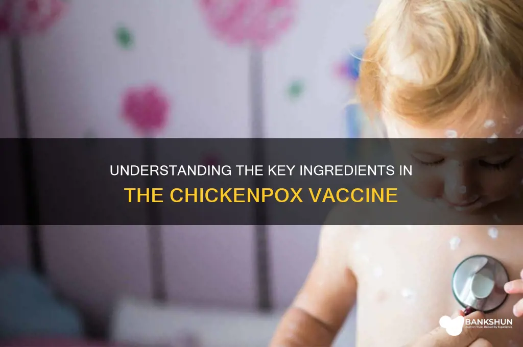 what are ingredients in chicken pox vaccine