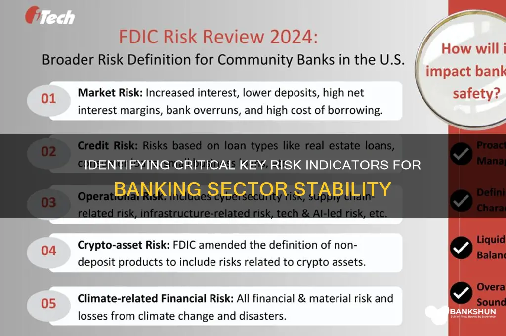 what are key risk indicators for banks