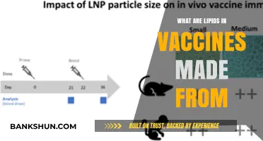 Understanding Lipid Components in Vaccines: Origins and Functions Explained