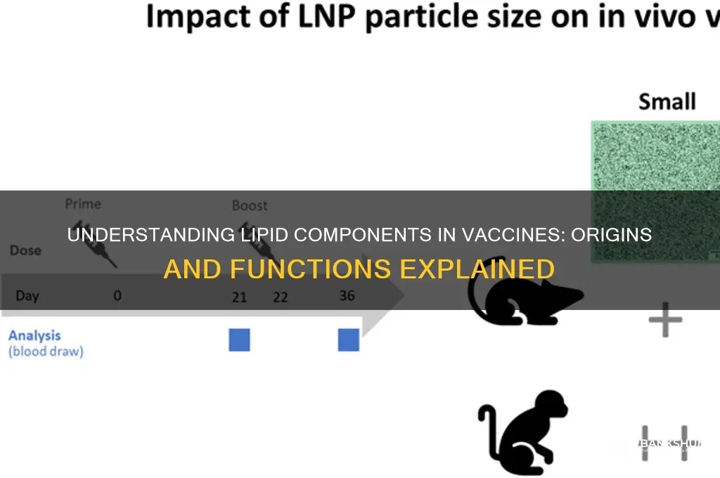 what are lipids in vaccines made from
