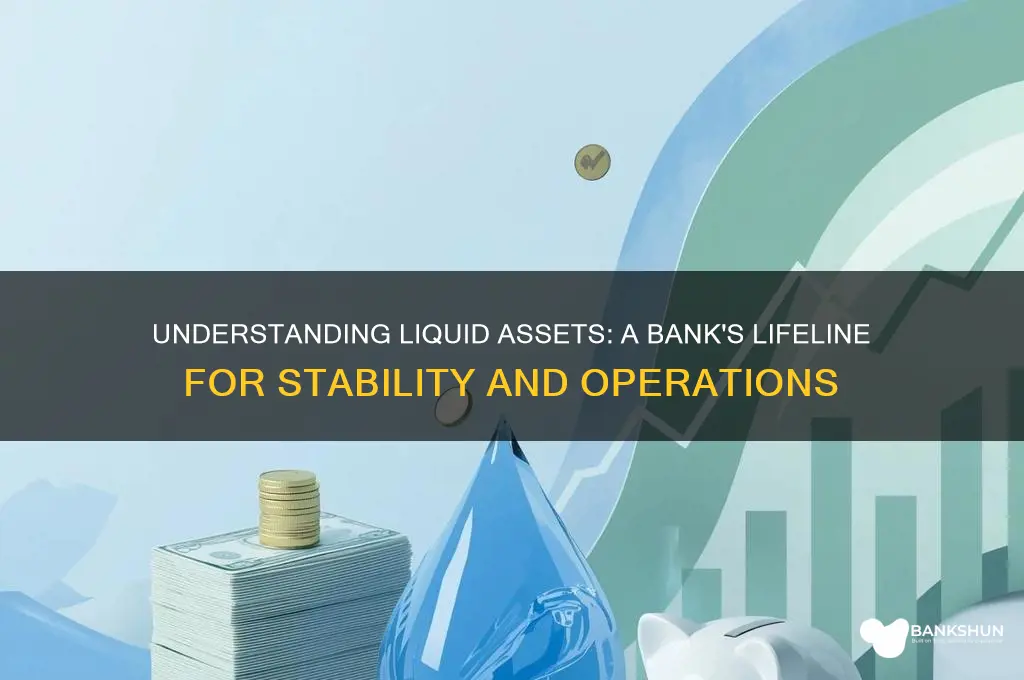 what are liquid assets for a bank
