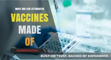 Understanding Live Attenuated Vaccines: Components and Their Role in Immunity