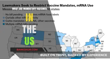 Understanding Mandatory Vaccines in the US: Requirements and Implications