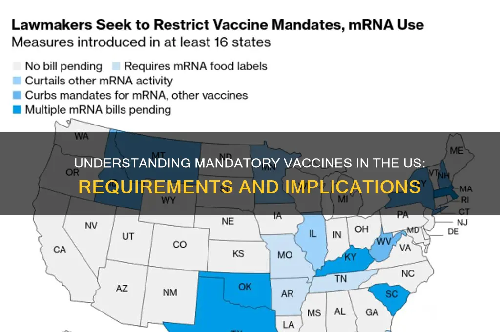 what are mandatory vaccines in the us