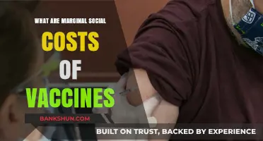 Understanding the Marginal Social Costs of Vaccines: A Comprehensive Analysis