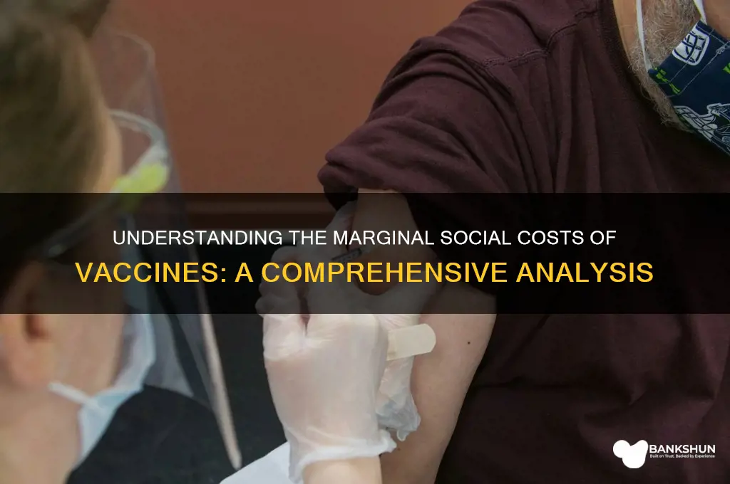 what are marginal social costs of vaccines